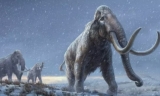 1.4 万年前将人类引向美洲的可能是长毛象