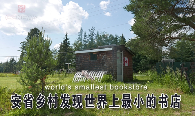 安大略乡村发现世界上最小的书店