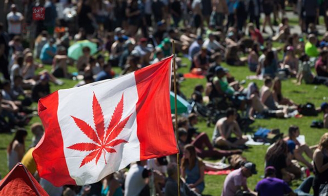 大麻合法化：各省可借鉴温哥华经验