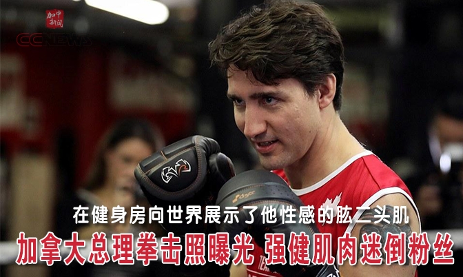 加拿大总理拳击照曝光 强健肌肉迷倒粉丝
