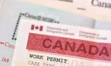 加拿大移民部&quot;放水&quot;：送毕业留学生18个月工签