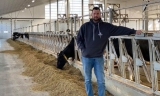 疫情之下没需求：加拿大奶农不得不倒掉牛奶