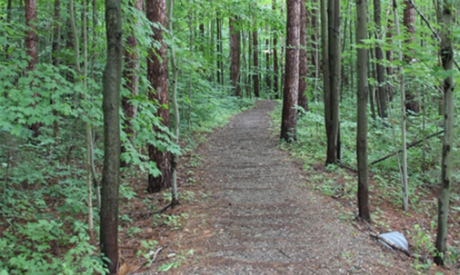 约克区重新恢复开放21个森林公园步道