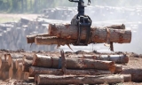加拿大正式就美国软木关税提出投诉