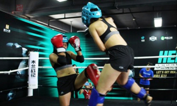 网台联动，女子MMA综合格斗赛事的新打法