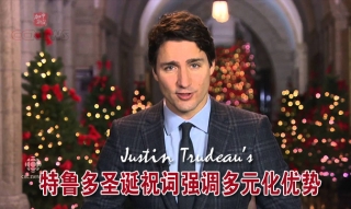 总理特鲁多圣诞祝词强调多元化优势