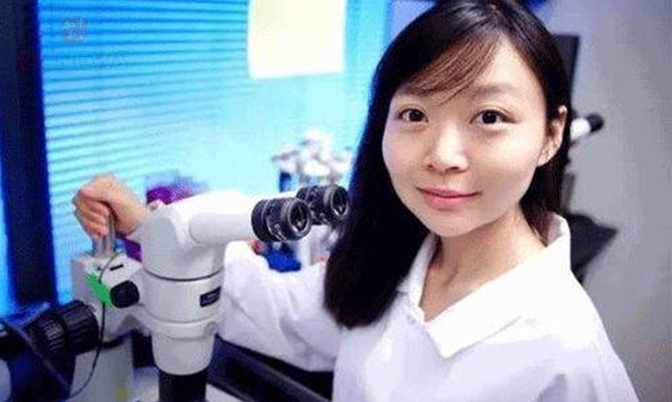 中国女博士欲用猪器官救绝症患者获2.5亿融资