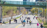 多伦多ActiveTO阻碍交通 市长承诺重新规划